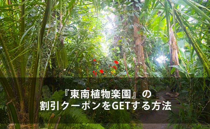 21年最新版 東南植物楽園 の割引クーポンをgetする11の方法 Lifeラボ